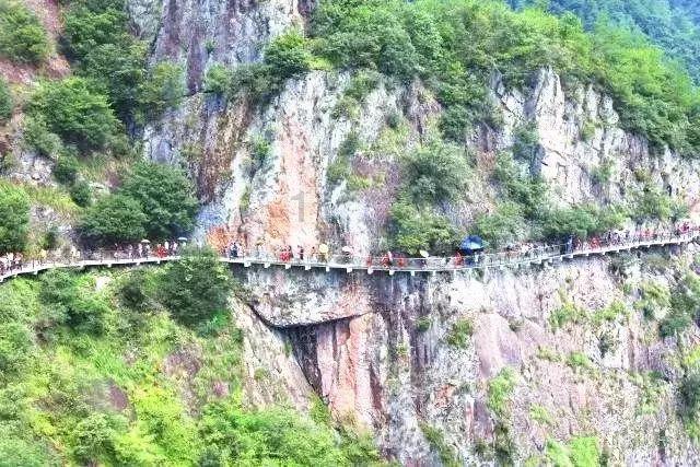 雷竞技比分